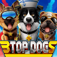 1x2gaming:3TopDogs