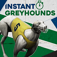 1x2gaming:InstantVirtualGreyhounds