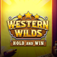 1x2gaming:WesternWildsHoldAndWin93