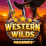 1x2gaming:WesternWildsMegaways94