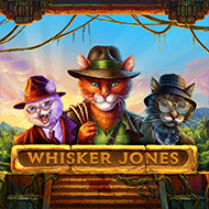 1x2gaming:WhiskerJones