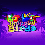 amatic:TweetyBirds