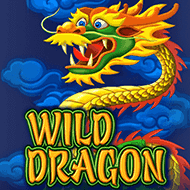 amatic:WildDragon