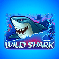 amatic:WildShark