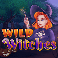 amatic:WildWitches