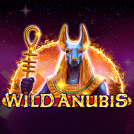 amatic:wildanubis