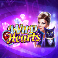 amatic:wildhearts