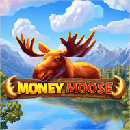 booming:MoneyMoose