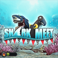 booming:SharkMeet