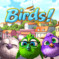 bsg:Birds