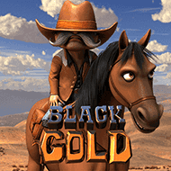 bsg:BlackGold