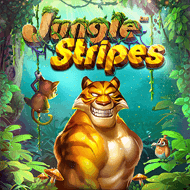 bsg:JungleStripes