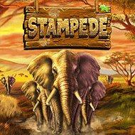 bsg:Stampede