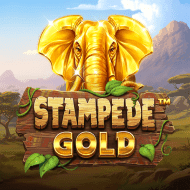 bsg:StampedeGold