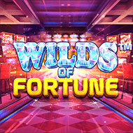 bsg:WildsOfFortune
