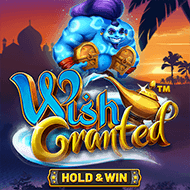 bsg:WishGranted