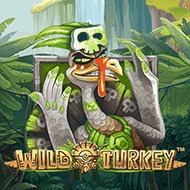 evolution:WildTurkey