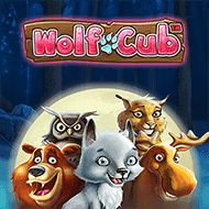 evolution:WolfCub