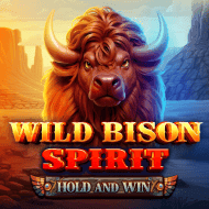 groove:WildBisonSpiritHoldAndWin