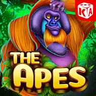 kagaming:Apes