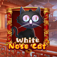 kagaming:WhiteNoseCat