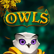 nolimit:Owls1