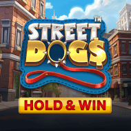 nucleus:StreetDogs