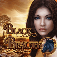 oryx:GAMBlackBeauty