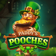 oryx:ORYXPaddysPooches