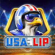 playngo:USAFlip