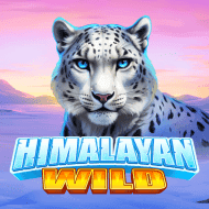 pragmaticexternal:HimalayanWild