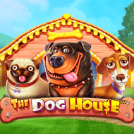 pragmaticexternal:TheDogHouse