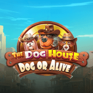 pragmaticexternal:TheDogHouseDogorAlive