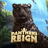 quickspin:PanthersReign