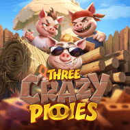 relax:ThreeCrazyPiggies