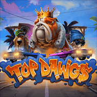 relax:TopDawg