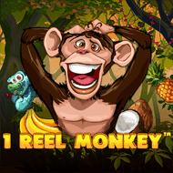 spinomenal:1ReelMonkey