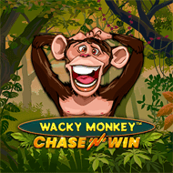 spnmnl:WackyMonkeyChaseNWin