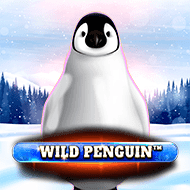 spnmnl:WildPenguin
