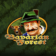 technology:BavarianForest