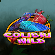 technology:ColibriWild