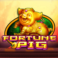 technology:FortunePig