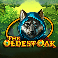 technology:TheOldestOak