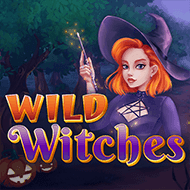 Wild Witches