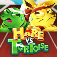 Hare vs Tortoise