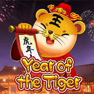 Year Of The Tiger