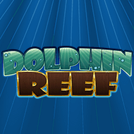 Dolphin Reef