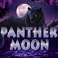 Panther Moon