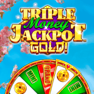 Triple Money Jackpot Gold!
