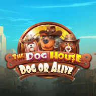 The Dog House - Dog or Alive